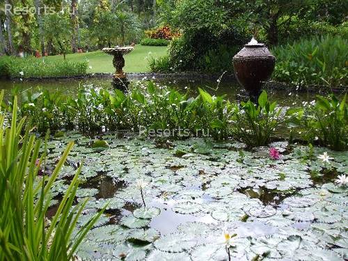 Melia Bali - The Garden Villas 41